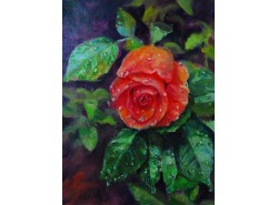 Картина "Слёзы розы".